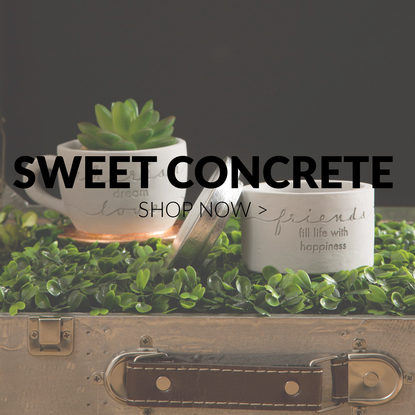 Sweet Concrete